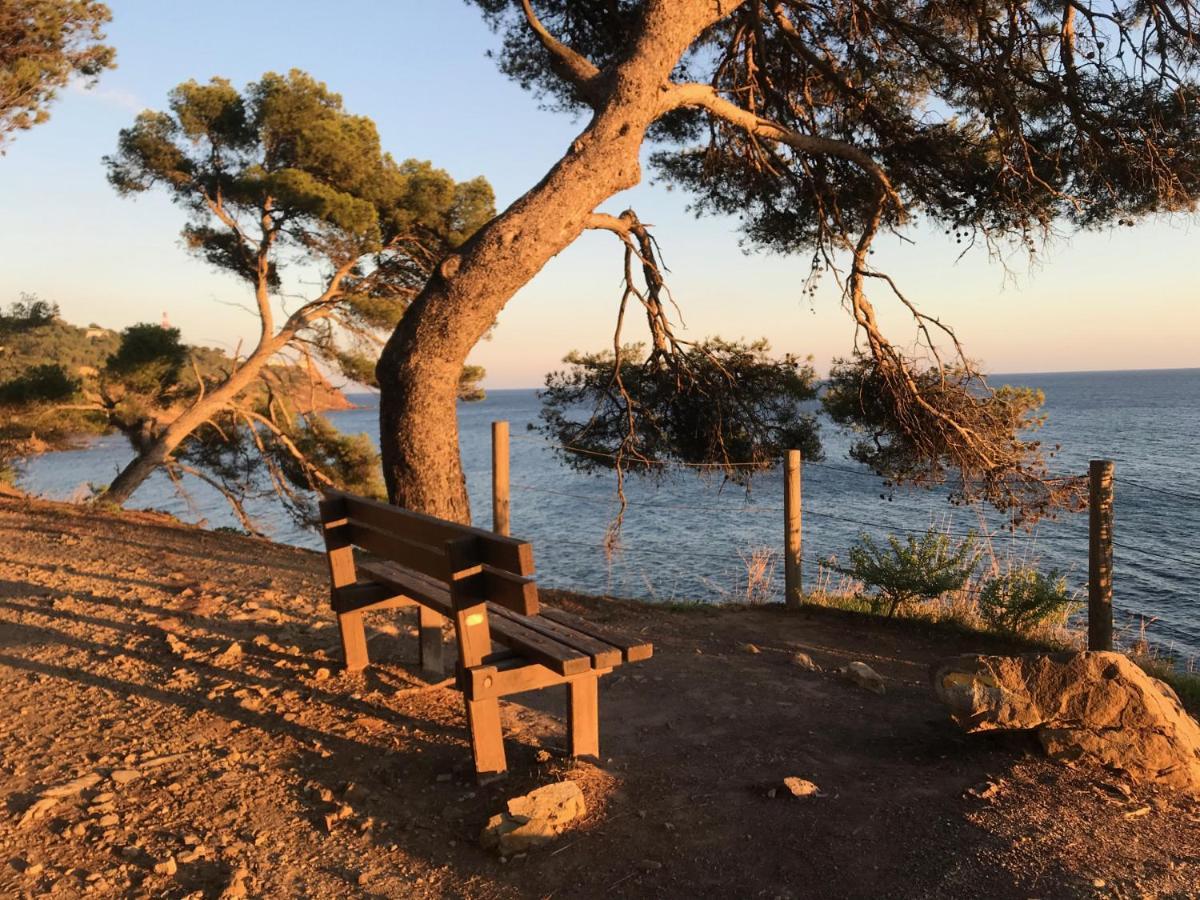 Bas De Villa Jardin Plein Sud Proche Mer Clim-Wifi Saint-Mandrier-sur-Mer Luaran gambar