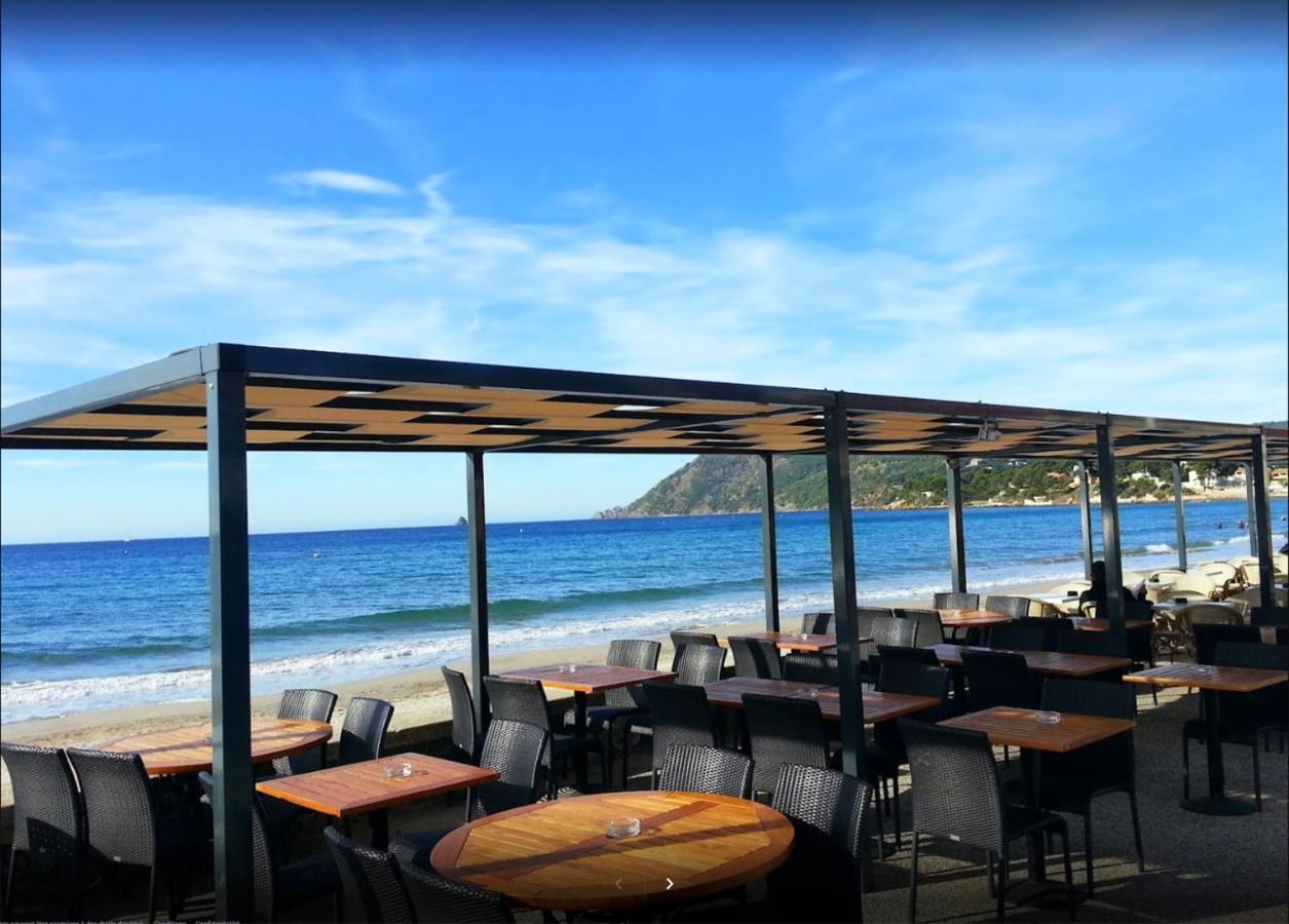 Bas De Villa Jardin Plein Sud Proche Mer Clim-Wifi Saint-Mandrier-sur-Mer Luaran gambar