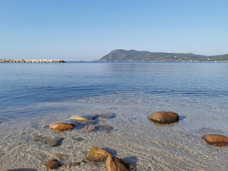 Bas De Villa Jardin Plein Sud Proche Mer Clim-Wifi Saint-Mandrier-sur-Mer Luaran gambar