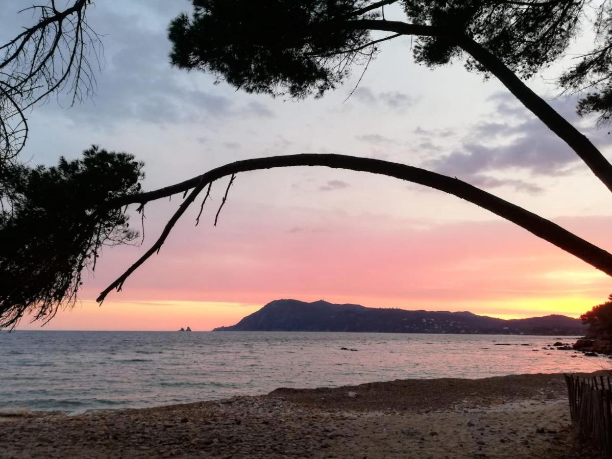 Bas De Villa Jardin Plein Sud Proche Mer Clim-Wifi Saint-Mandrier-sur-Mer Luaran gambar